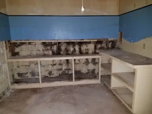 Steele Environmental Services gallery